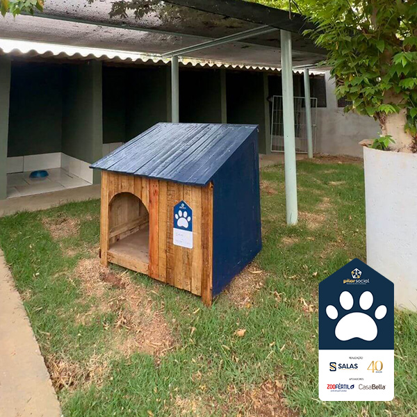 PILAR SOCIAL SALAS: DIA MUNDIAL DO PET